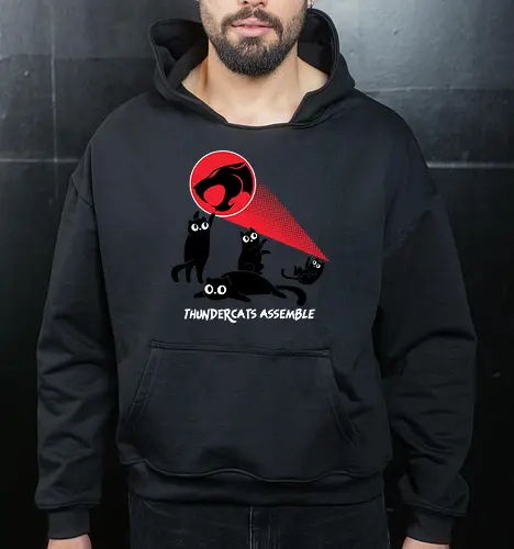 ThunderCats Assemble