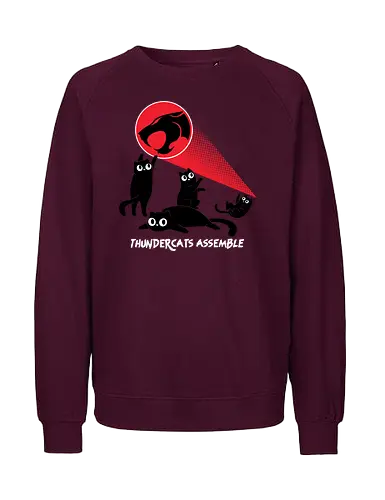 ThunderCats Assemble - Cute cats, 1980s, Saturday cartoons, thunder, cats, Black cats, funny, laser cats - Fairtrade Sweatshirt