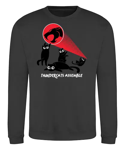 ThunderCats Assemble - Cute cats, 1980s, Saturday cartoons, thunder, cats, Black cats, funny, laser cats - Sweatshirt