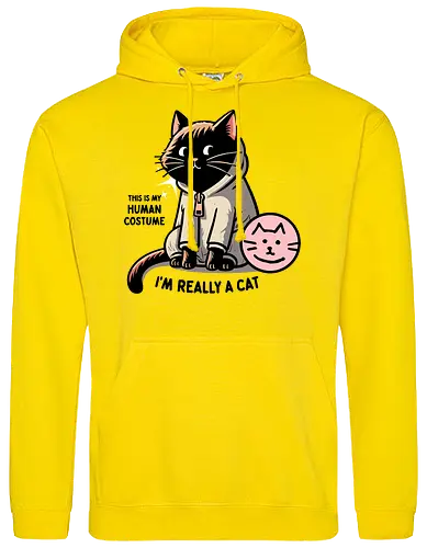 This is my human costume, I’m really a cat