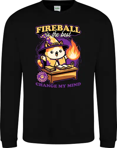 Wizard Cat Fireball