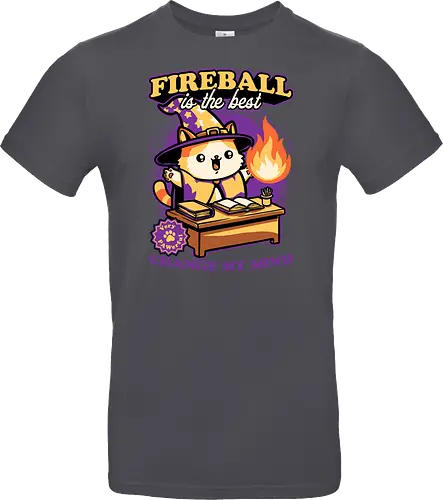 Wizard Cat Fireball