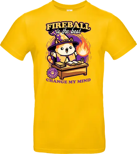 Wizard Cat Fireball