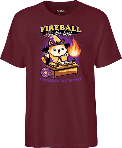 Wizard Cat Fireball