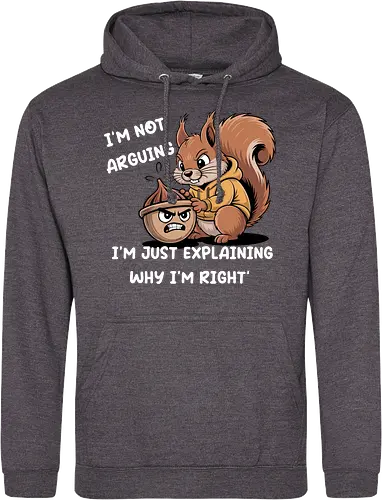 I'm Not Arguing, I'm Explaining Why I'm Right
