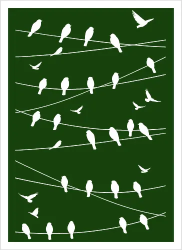 Vögel Linien Minimalistisch - Blau