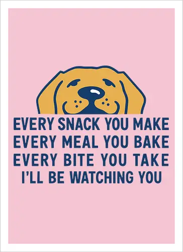 Every Snack You Make