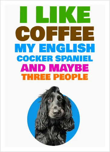 Coffee & Cocker Spaniel