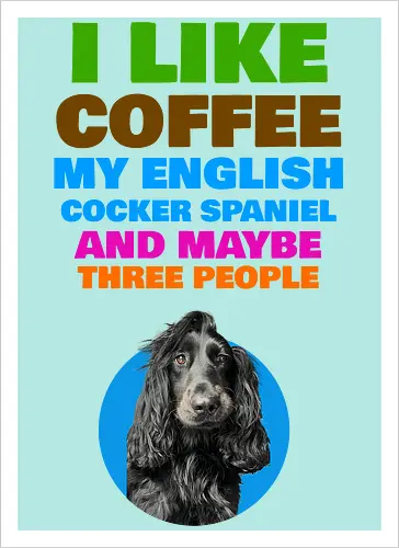 Coffee & Cocker Spaniel