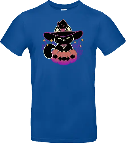 Cute Halloween Cat on Pumpkin