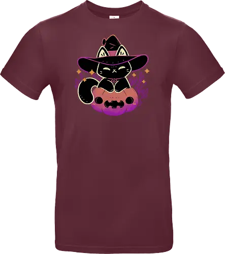 Cute Halloween Cat on Pumpkin