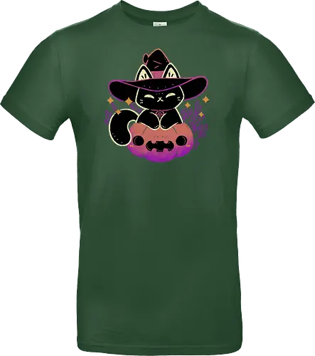 Cute Halloween Cat on Pumpkin