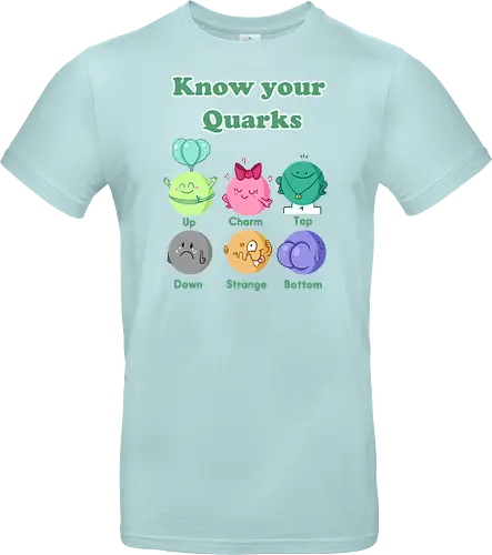 Knwo your Quarks