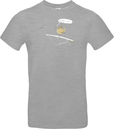 Zaunkönig