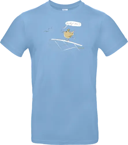 Zaunkönig