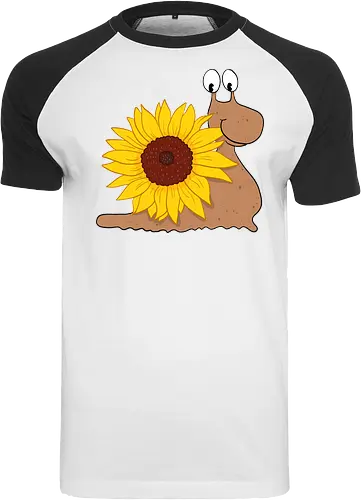 Sonnenblumenschnecke