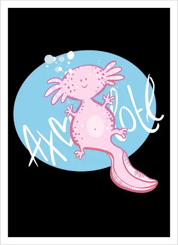 Axolotl
