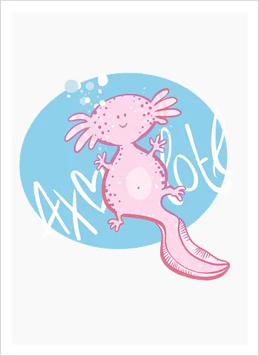 Axolotl