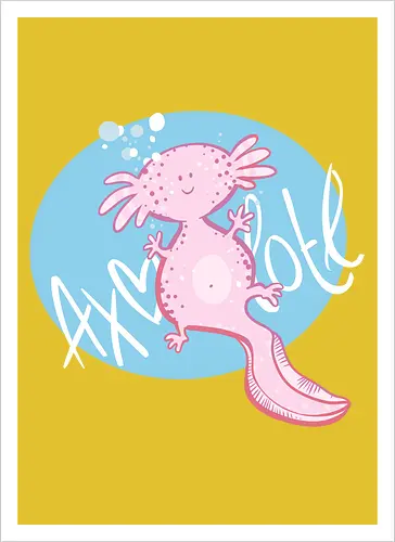 Axolotl