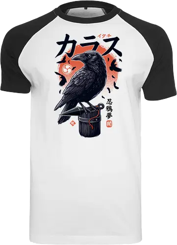 Dark Ninja Raven