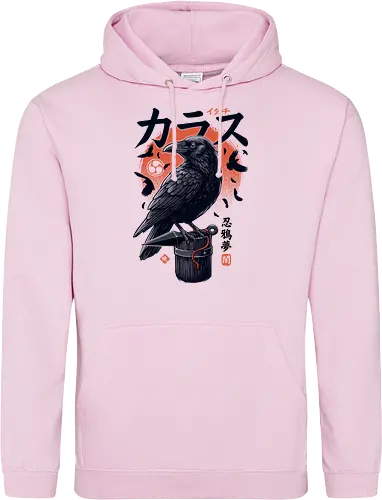 Dark Ninja Raven