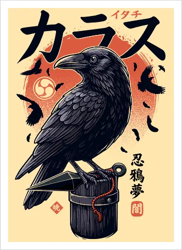 Dark Ninja Raven