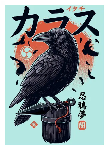 Dark Ninja Raven