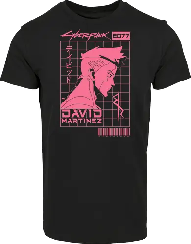 David Marteniz