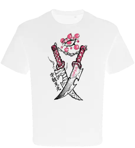 Dual Nichirin Swords