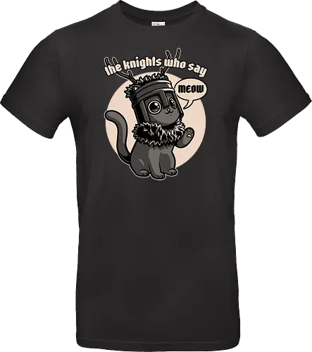 Black Cat Movie Knight