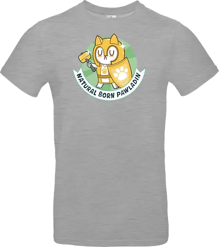 RPG Cats - Natural Born Pawladin