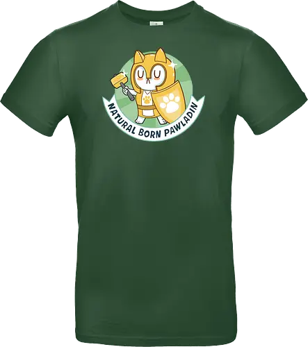 RPG Cats - Natural Born Pawladin