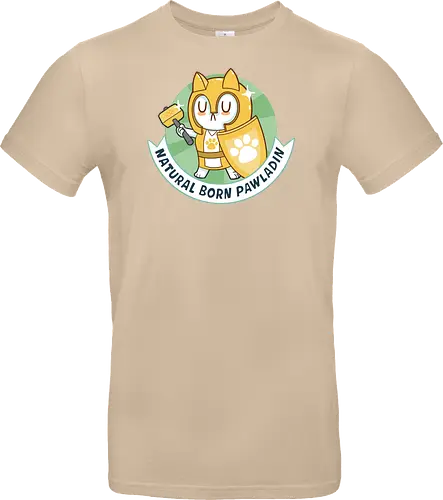 RPG Cats - Natural Born Pawladin