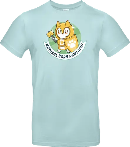 RPG Cats - Natural Born Pawladin