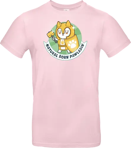 RPG Cats - Natural Born Pawladin