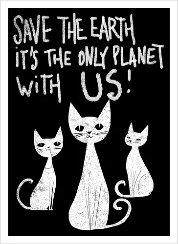 Save the cats
