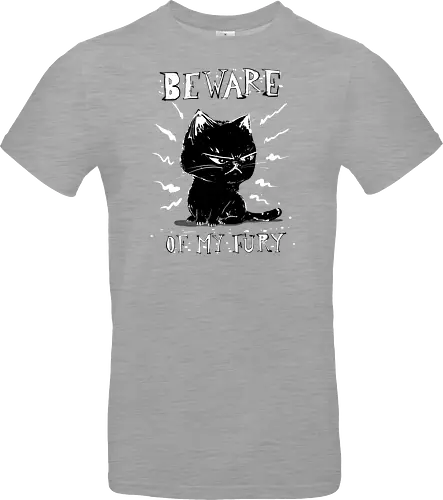 Beware of my fury