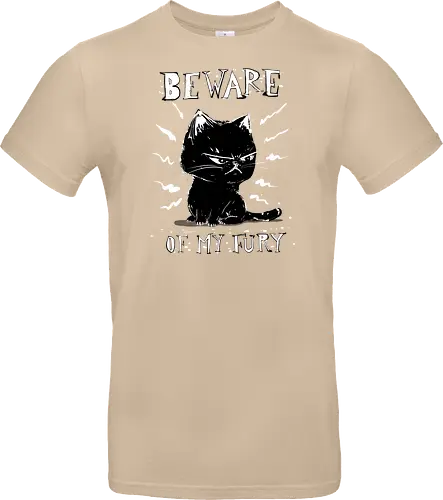 Beware of my fury