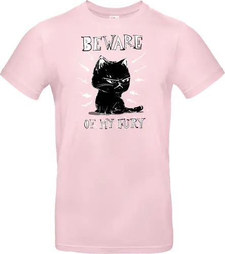 Beware of my fury