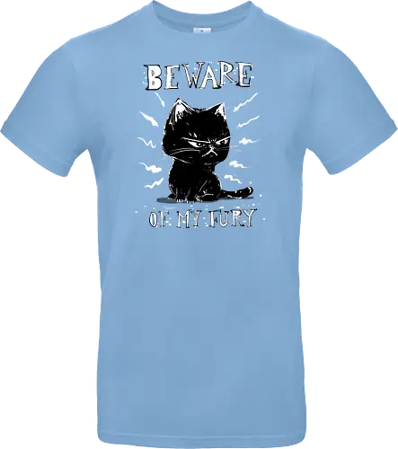 Beware of my fury