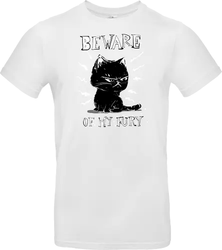 Beware of my fury