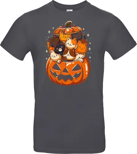 Pumpkin Cute Cats