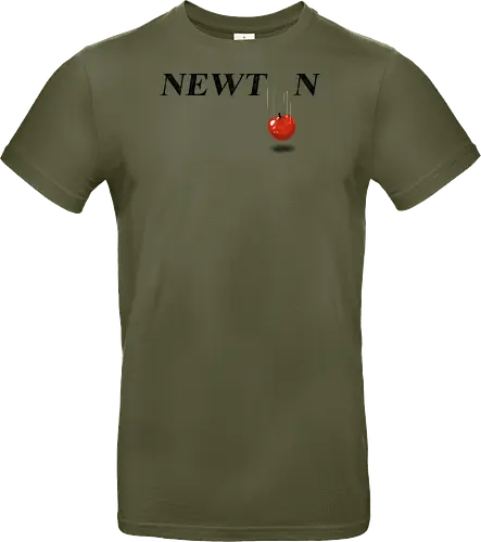 Newton