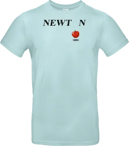 Newton