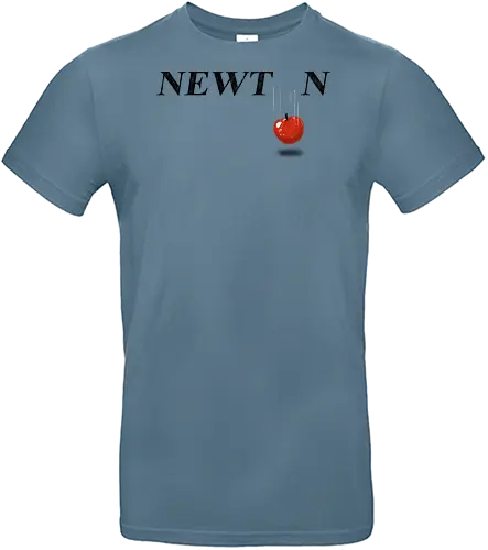 Newton - newton, gravity, science, funny, typography - Standard T-Shirt