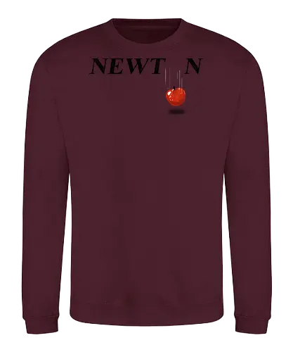 Newton - newton, gravity, science, funny, typography - Sweatshirt