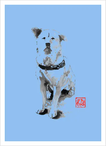 old dog