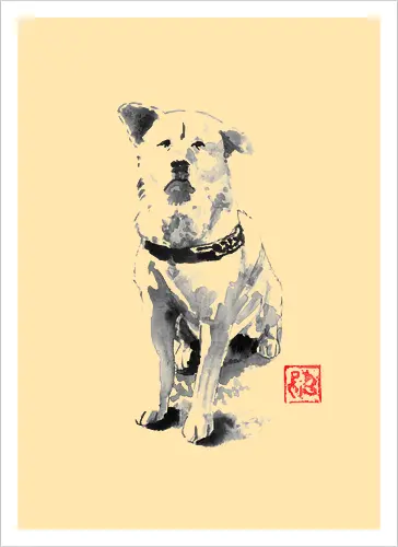old dog