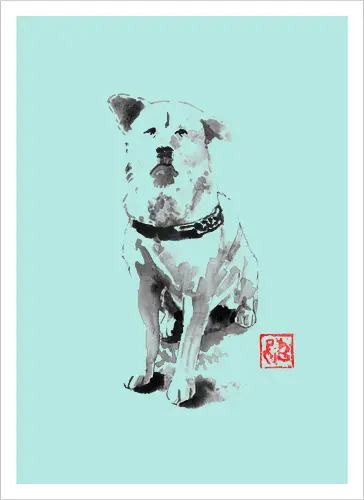 old dog