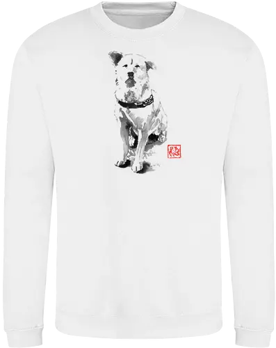 old dog